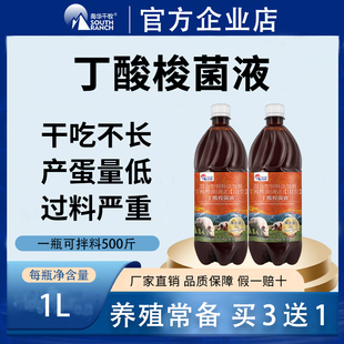 丁酸梭菌液兽用鸡鸭鹅猪牛羊用肠道调节畜禽养殖益生菌丁酸梭菌种