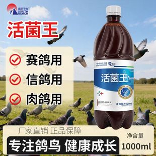 鸽子活菌王鸽用鸽子赛鸽信鸽幼鸽肉鸽常备益生菌非鸽子药大全用品