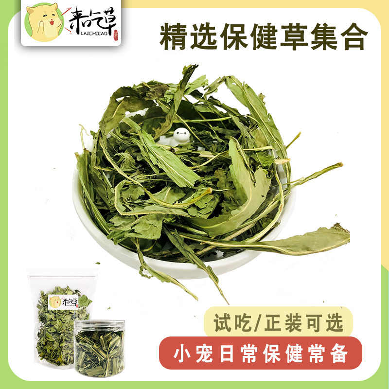 【精选】保健草 薄荷菊苣甜菊大麦柠檬蒲公英干草 兔子龙猫豚鼠草,宠物/宠物食品及用品,兔兔其他,淘宝优惠券,粉丝福利购,淘宝优惠卷