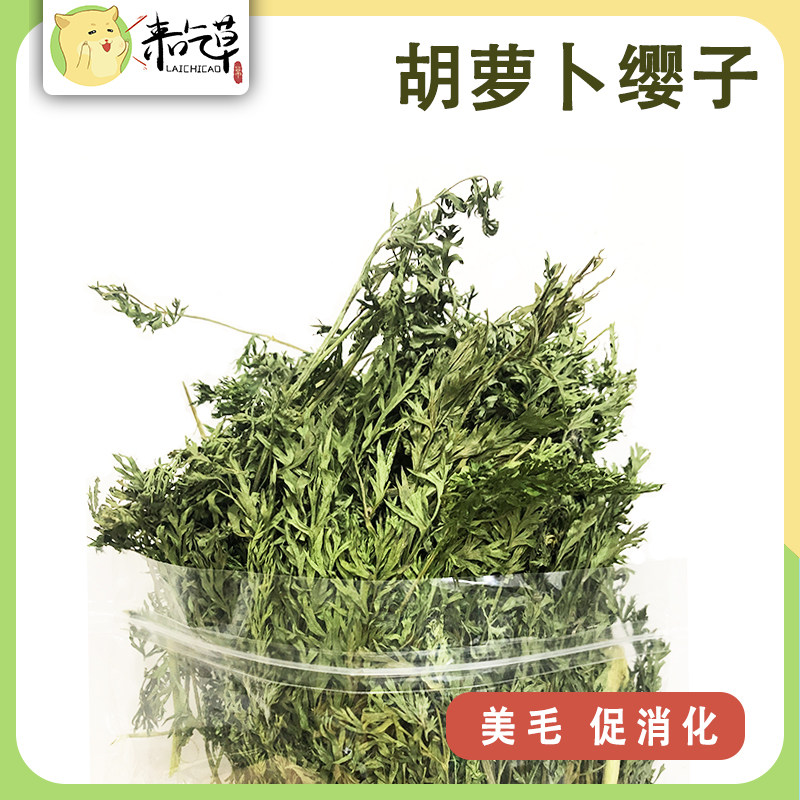 【精选零食】胡萝卜缨子 兔子豚鼠荷兰猪龙猫 促消化 美毛 100g,宠物/宠物食品及用品,兔兔其他,淘宝优惠券,粉丝福利购,淘宝优惠卷