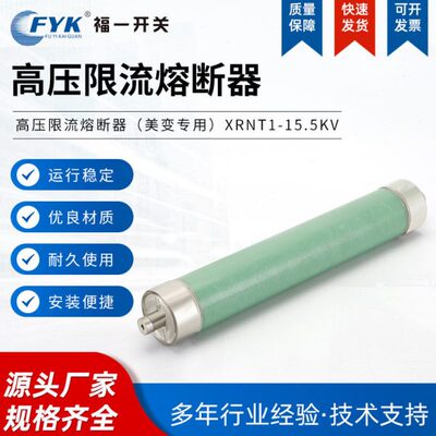 厂家供应压限流熔断器 美变专用 XRNT1-15.5KV电压互感器保险管