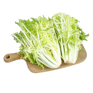 新鲜黄心苦菊500g 苦苣菜苦细叶狗牙生菜 西餐蔬菜沙拉轻食食材