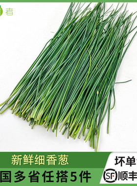 新鲜细香葱新鲜香料食材