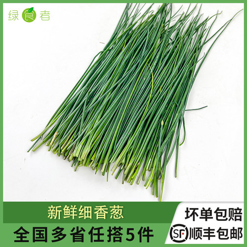 新鲜细香葱新鲜香料食材