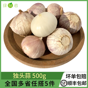 独头蒜500g 云南大蒜独头干大蒜头独蒜生吃烹饪香料 5件顺丰包邮