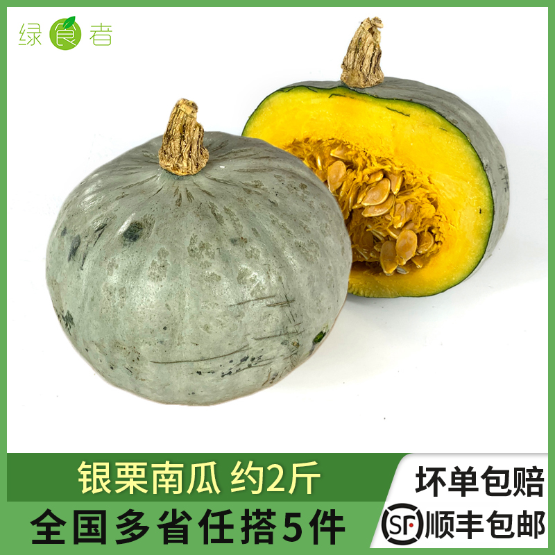 新疆银栗老南瓜板栗味宝贝辅食