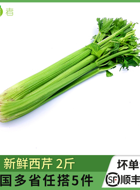 绿食者 西芹2斤 大芹菜 洋芹菜 绿色新鲜榨汁农家蔬菜西餐配菜