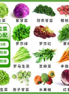 沙拉蔬菜可自选轻食材新鲜混合生菜生吃凉拌轻食西餐专用沙拉套餐