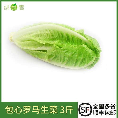 新鲜包心2/3斤罗纹凯撒沙拉蔬菜