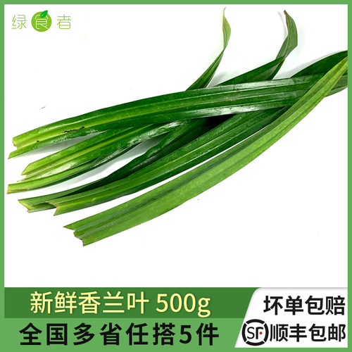 新鲜香兰叶500g班兰叶做糕点香料