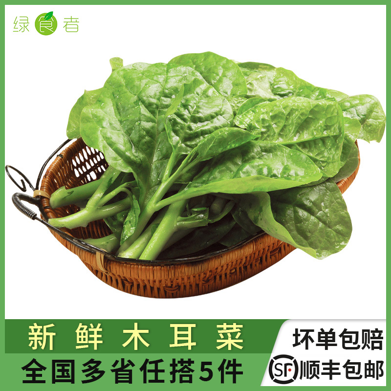 新鲜生鲜木耳菜 紫角叶现摘豆腐菜炒菜煮汤 顺丰满5件包邮