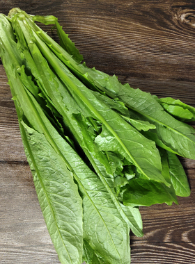 新鲜油麦菜500g 农家自种蔬菜莜麦菜 香麦菜苦菜 江浙沪皖5件包邮