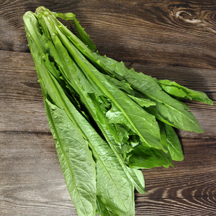 新鲜油麦菜500g 农家自种蔬菜莜麦菜 香麦菜苦菜 江浙沪皖5件包邮