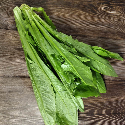 新鲜油麦菜500g 农家自种蔬菜莜麦菜 香麦菜苦菜 江浙沪皖5件包邮