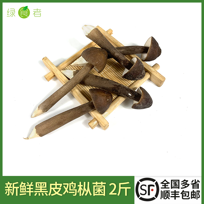新鲜黑皮鸡枞菌2斤煲汤食材