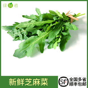 火箭菜 包邮 德国芥菜 顺丰 西餐蔬菜生吃沙拉食材 新鲜芝麻菜
