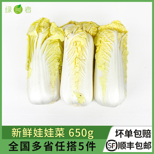 新鲜娃娃菜650g火锅烧烤食材