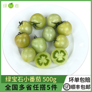 新鲜绿宝石小蕃茄500g 新鲜蔬菜 迷你绿西红柿圣女果 小青番茄
