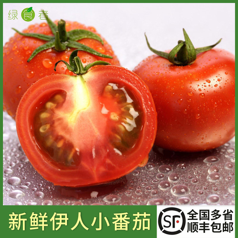 绿食者 伊人小番茄450g/盒 新鲜水果迷你樱桃番茄 满1件包邮