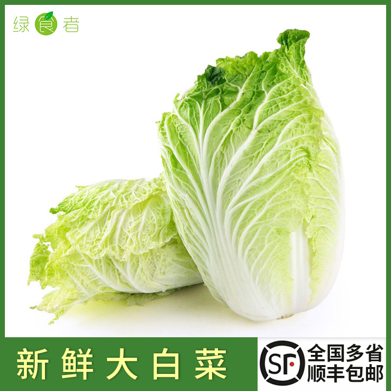 新鲜大白菜 上海农家自种包心时令蔬菜 多省包邮