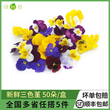 新鲜三色堇50朵/盒 可食用三色花鲜花草酒店西餐摆盘烘焙装饰点缀
