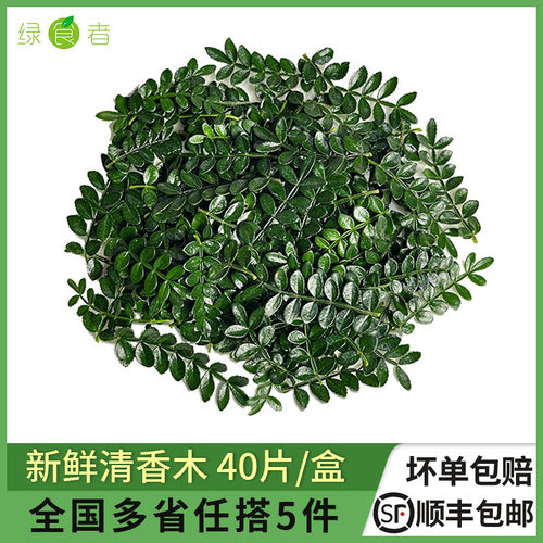 新鲜清香木1盒日料花草摆盘装饰