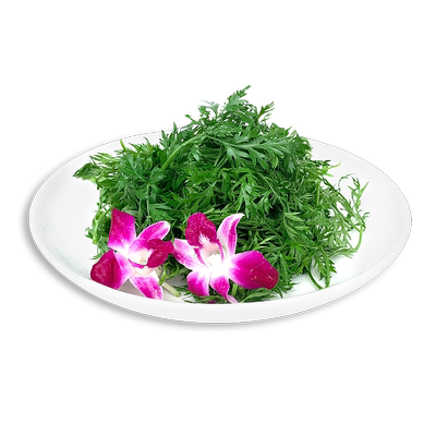 新鲜胡萝卜叶子500g萝卜缨子