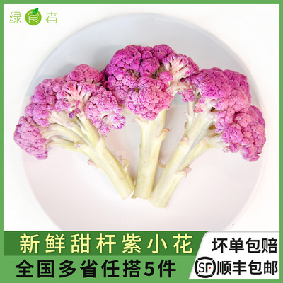 新鲜甜杆紫小花 新品甜杆西兰苔紫西兰花花菜 多省满5件顺丰包邮