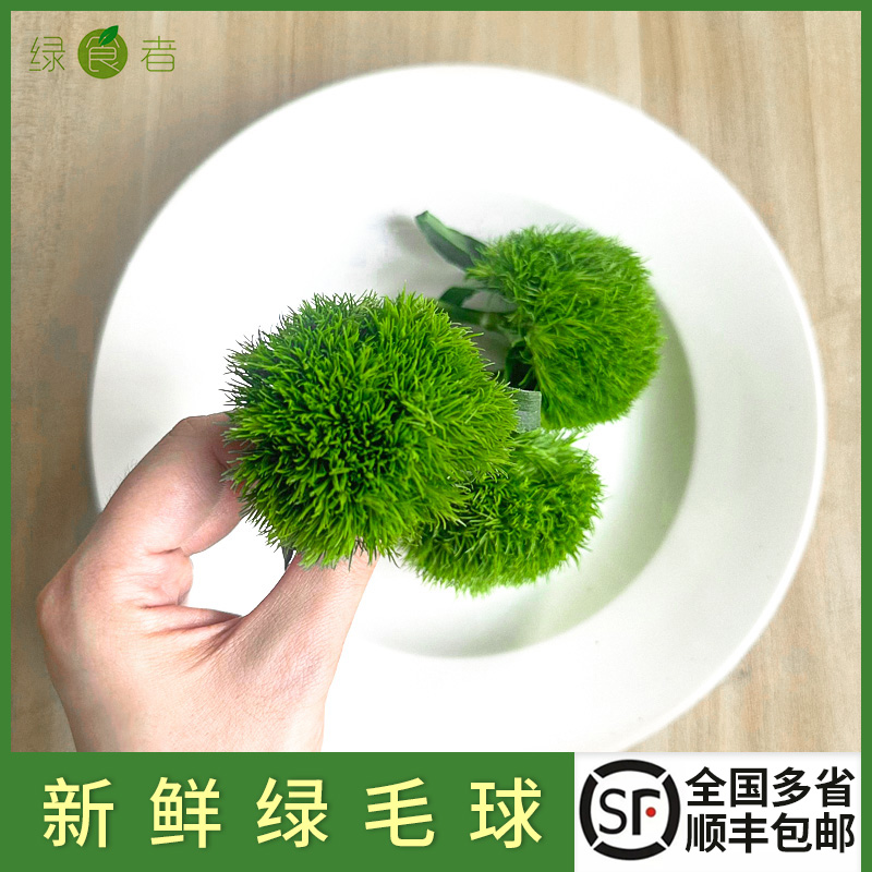 生鲜绿毛球约30g/盒 酒店西餐日料冷艺烘培摆盘装饰点缀花草 包邮