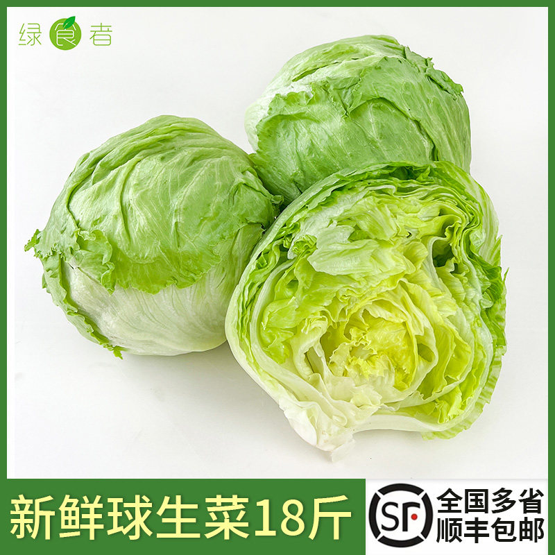 绿食者 球生菜18斤 新鲜蔬菜西餐汉堡用沙拉食材圆生菜西生菜包邮,水产肉类/新鲜蔬果/熟食,叶菜类,淘宝优惠券,粉丝福利购,淘宝优惠卷