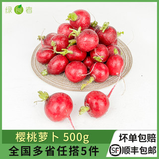 绿食者 樱桃萝卜500g 迷你小红萝卜水果萝卜新鲜生吃蔬菜沙拉食材