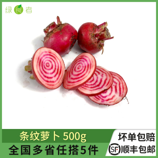 饰点缀 西餐酒店摆盘装 新鲜条纹萝卜500g 螺旋纹红萝卜甜菜头