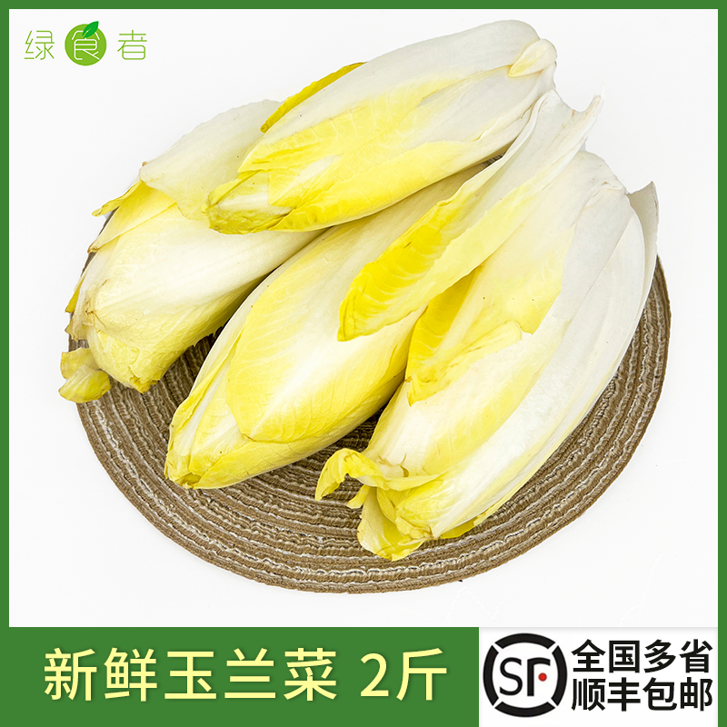 新鲜玉兰菜西餐沙拉蔬菜食材