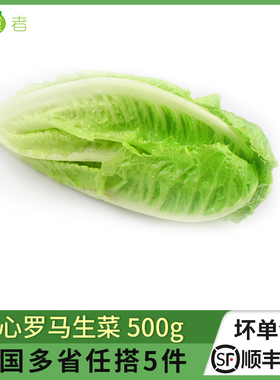 绿食者 包心罗马生菜500g 黄心罗马罗纹凯撒生菜 西餐沙拉食材