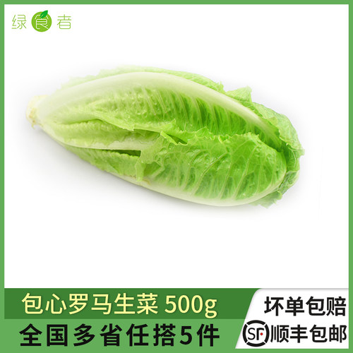 绿食者包心罗纹凯撒生菜沙拉食材