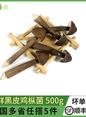 新鲜黑皮鸡枞菌500g 菌菇长根蘑菇荔枝菌鸡棕菇 煲汤食材