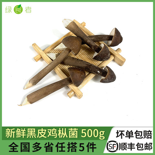 新鲜黑皮鸡枞菌500g煲汤食材