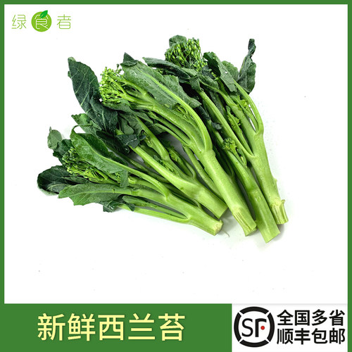 西兰苔时令青花迷你顺丰包邮