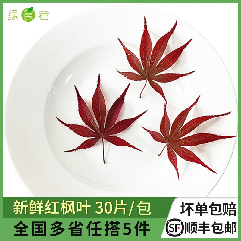 新鲜红枫叶西餐冷菜日料摆盘装饰图片