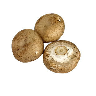 新鲜牛排菇约500g 褐菇新鲜菌菇 食用菌 波多黎各菌 满5件包邮