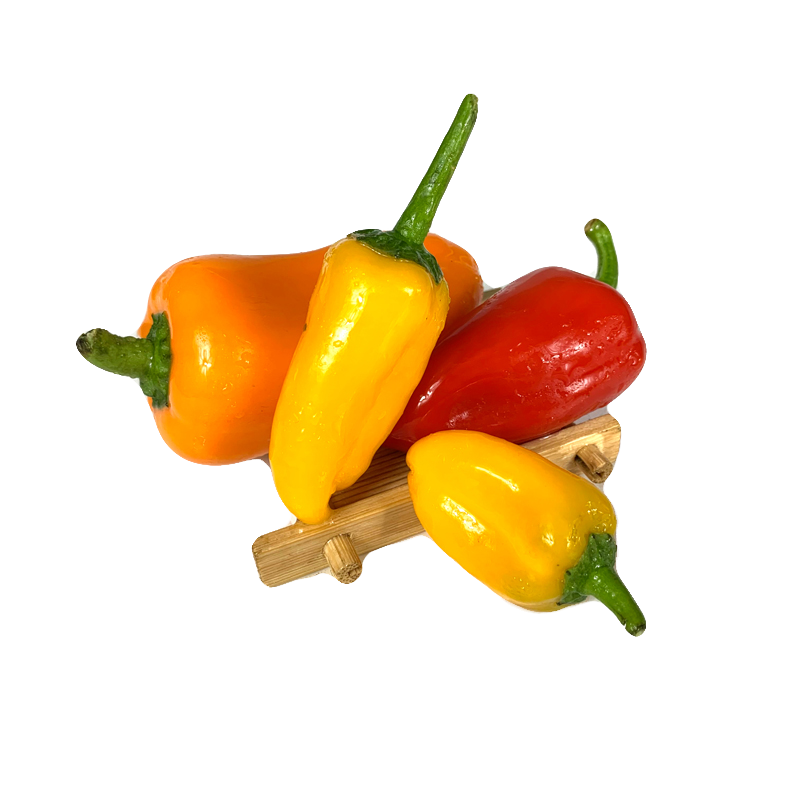 新鲜水果椒 小彩椒 甜椒 脆甜辣椒沙拉凉拌炒菜食材蔬菜 包邮