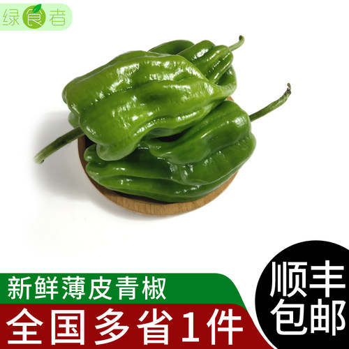 薄皮青椒 青辣椒新鲜现摘农家自种应季蔬菜微辣虎皮青椒食材 包邮
