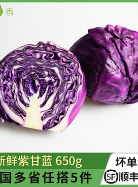 绿食者 新鲜紫甘蓝约650g 紫包菜紫椰菜 轻食沙拉蔬菜西餐食材