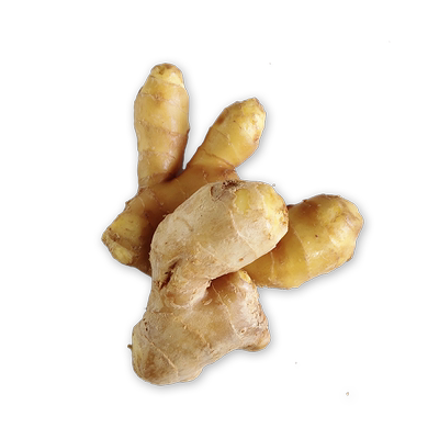 新鲜蔬菜调味料5件包邮生姜