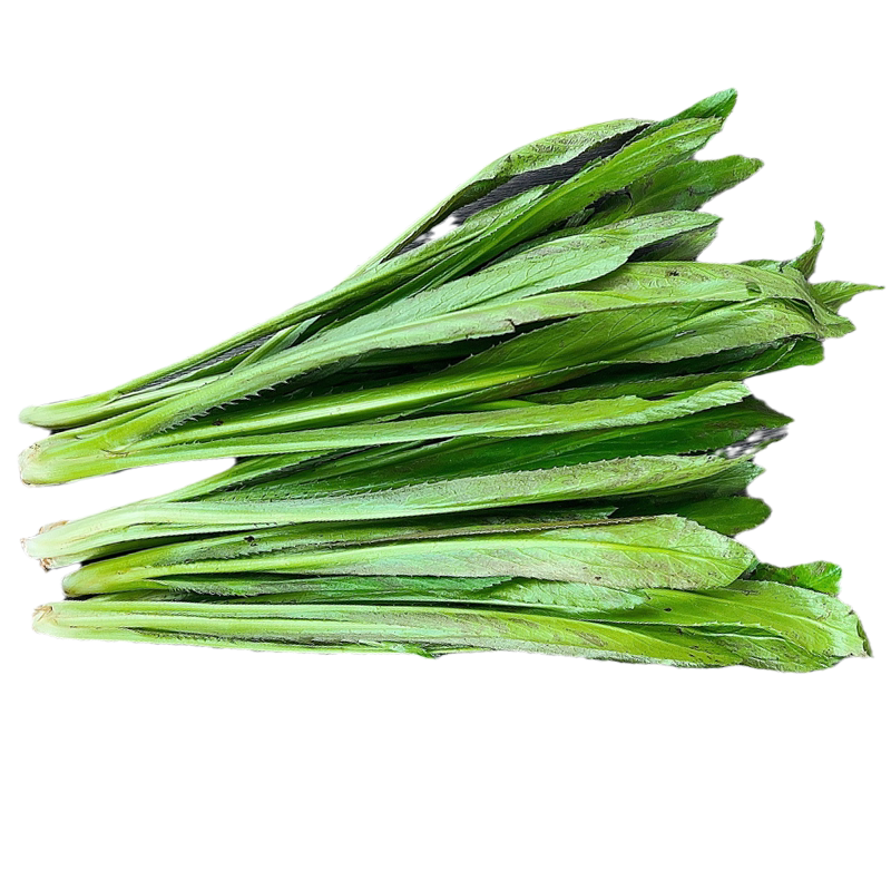 新鲜大香菜500g 芫茜刺芹芫西泰国香菜冬阴功食材料芫荽香料蔬菜
