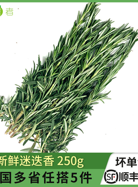 新鲜迷迭香250g 迷失香可食用牛排西餐烧烤香料调料 5件顺丰包邮