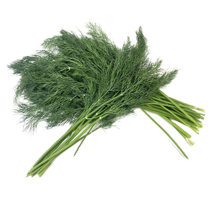 新鲜莳萝草250g 食用泰国香料菜刁草土茴香酒店摆盘西餐调料蔬菜