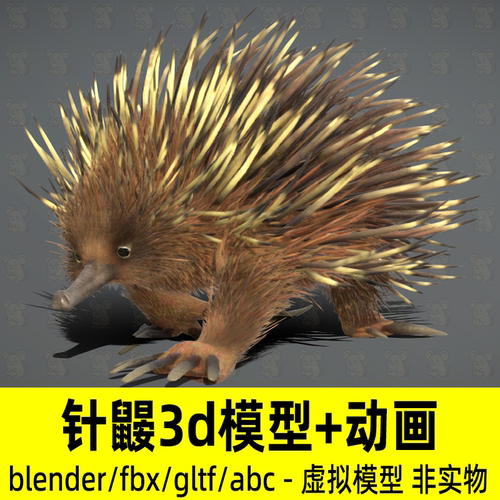 blender针鼹模型写实哺乳动物针鼹材质骨骼动画3d模型2K贴图fbx