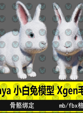 maya小白兔动物模型写实可爱兔子Xgen毛发材质贴图骨骼绑定3D模型
