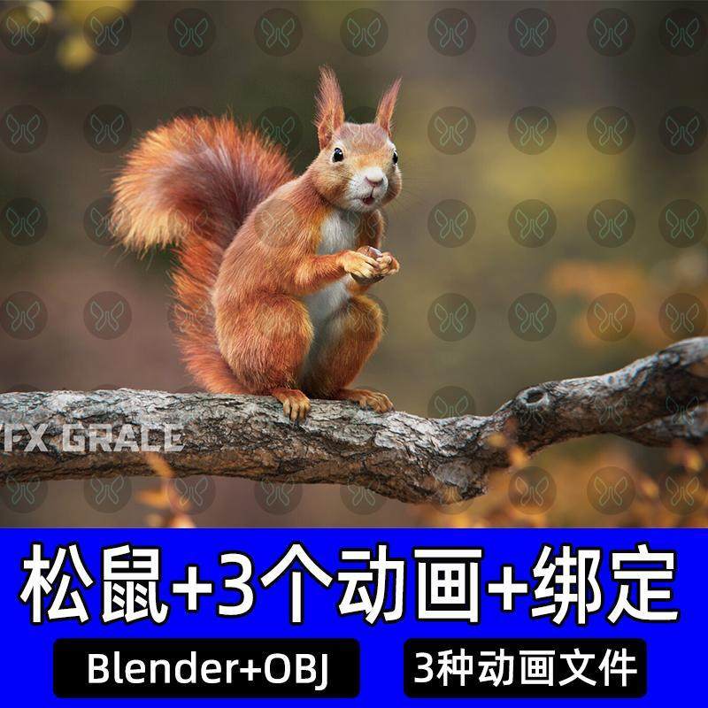 blender红松鼠影视级3d模型带3种绑定动画高精度啮齿动物cg松鼠